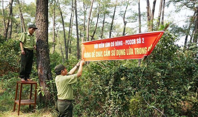 To effectively implement the wildfire prevention and control